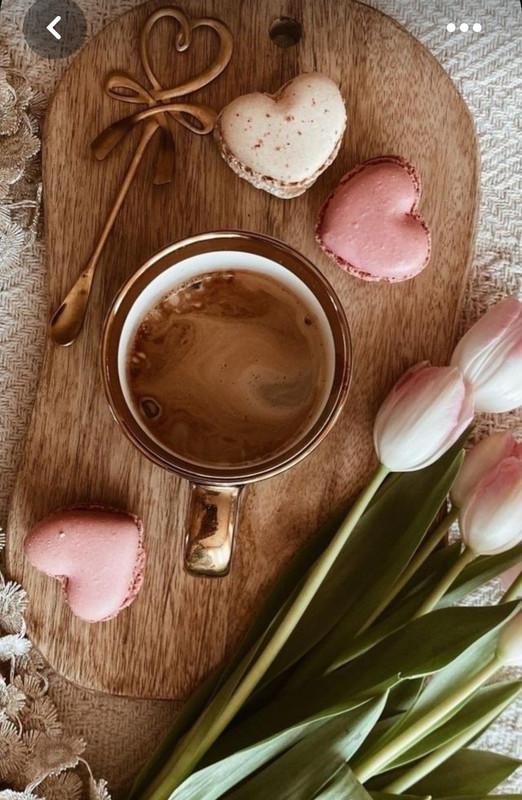 Screenshot_20230717_220958_Pinterest