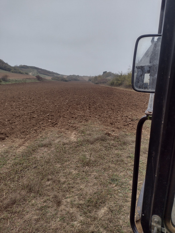 IMG-20221102-143648522-HDR.jpg