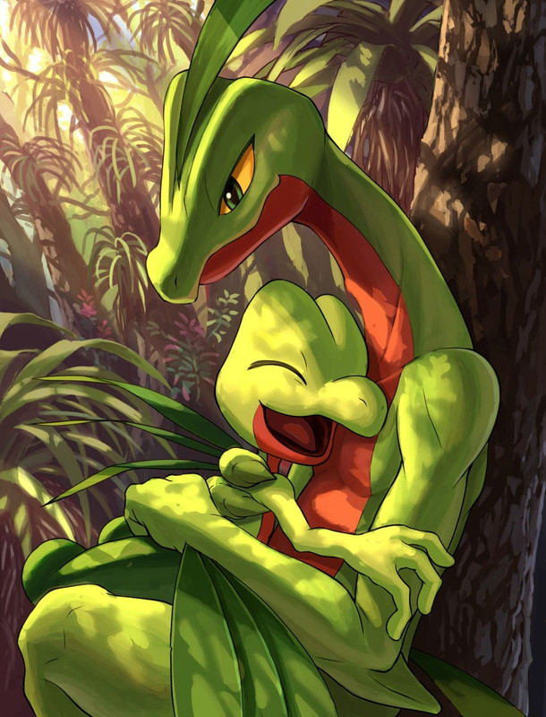 treecko-and-grovyle-pokemon-drawn-by-kar