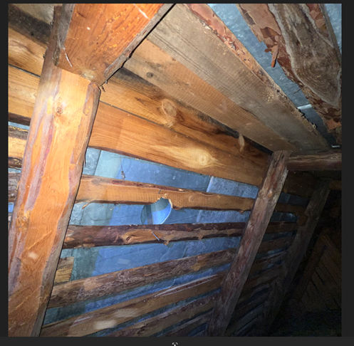 Näyttökuva 2025-03-24 183004