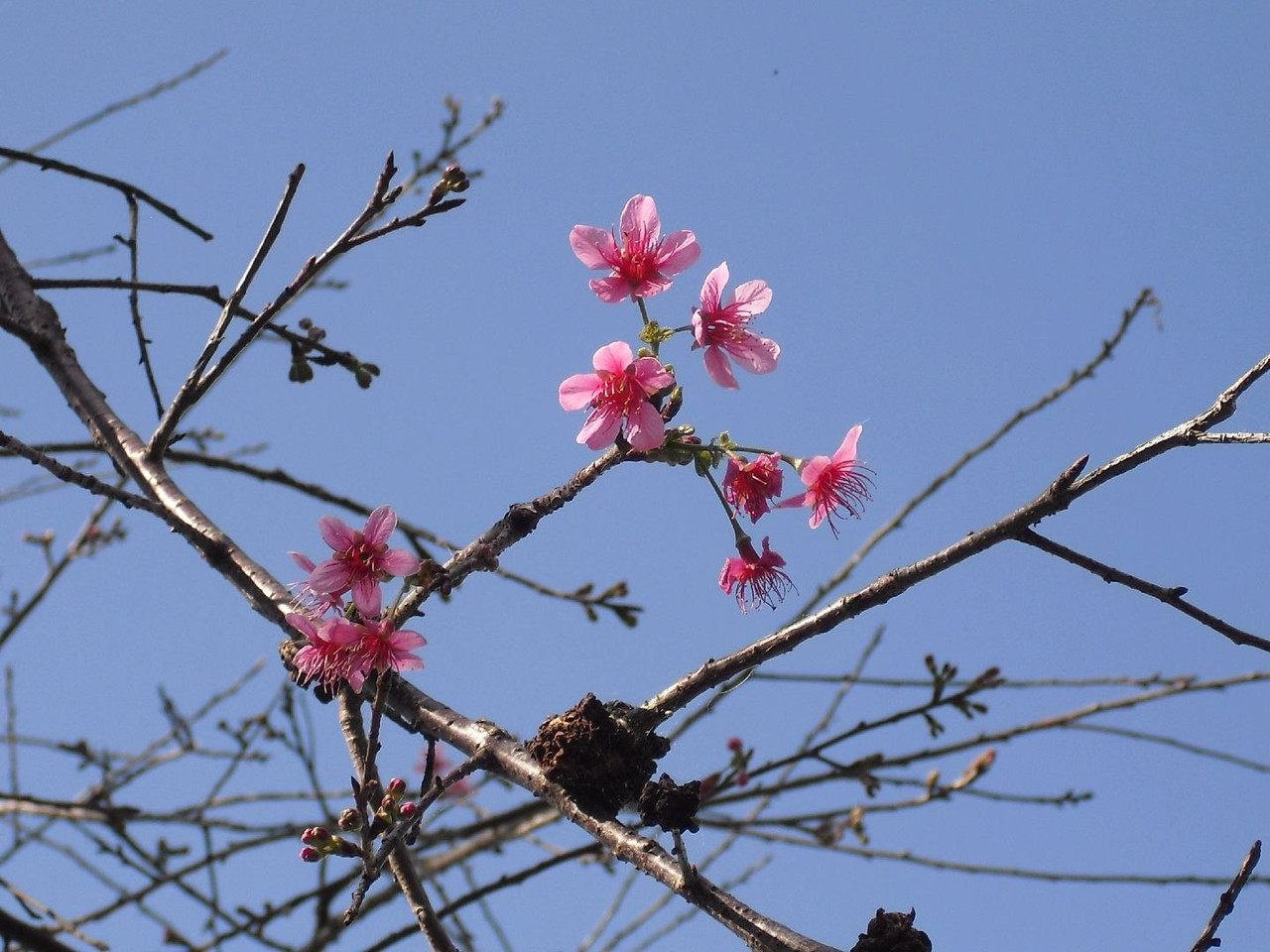 photo 29 2025 12 24 16 04 46