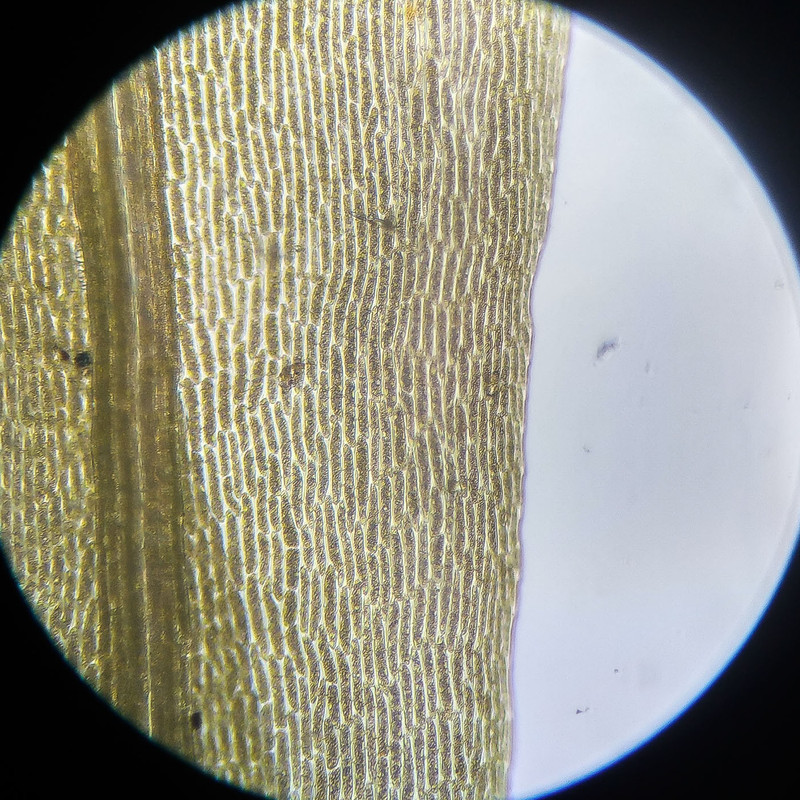 IMG 20250614 112841 HDR