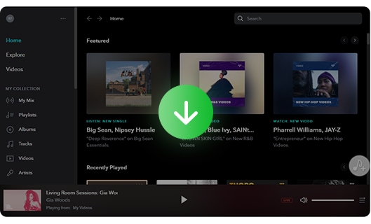tidal-media-downloader.png