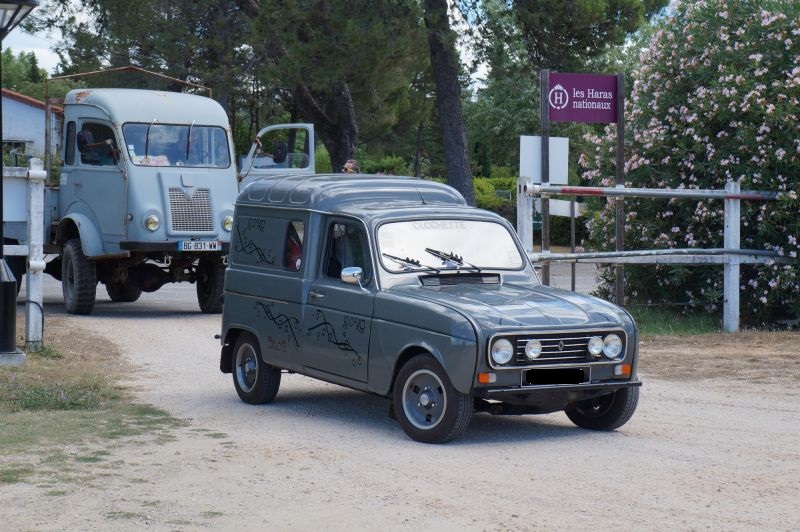 DSC02081-111-800-600-80