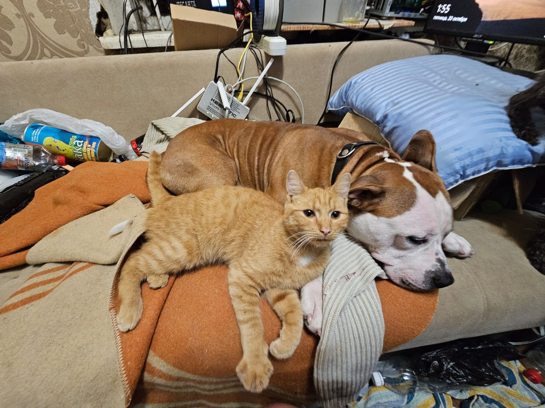 WhatsApp Image 2024-01-20 at 19.47.57 (2)