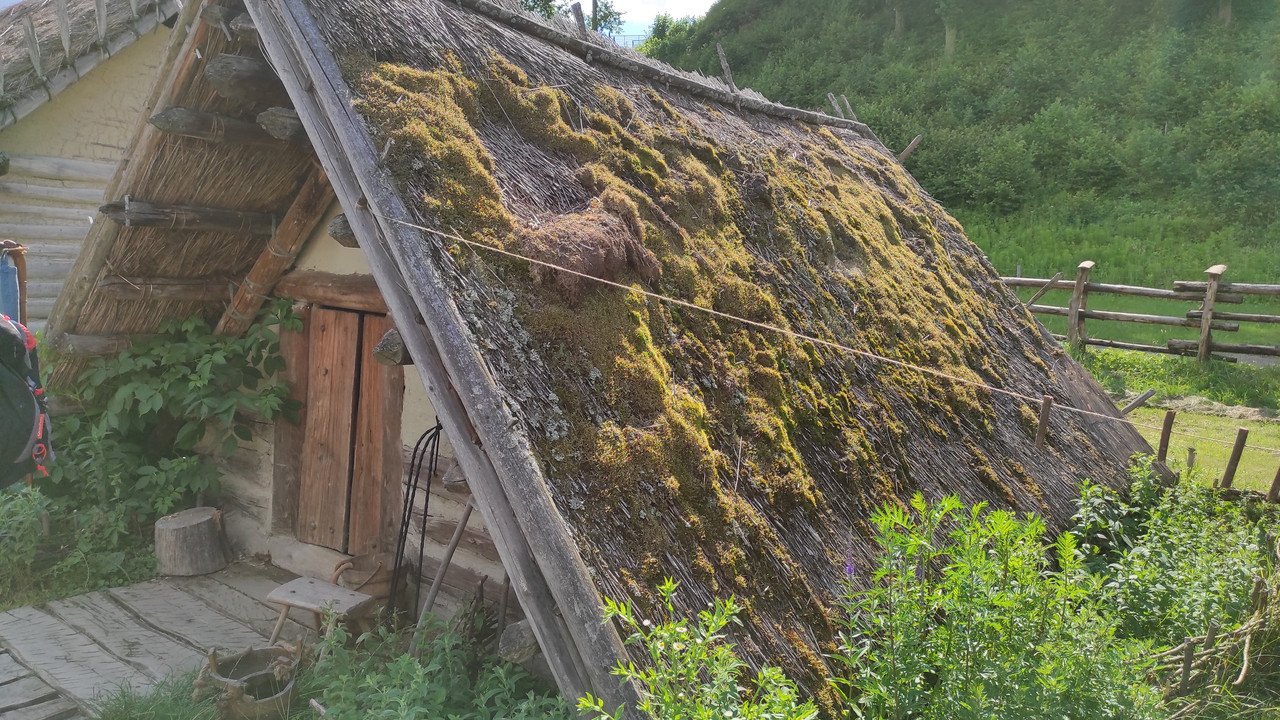 05.23 - IMG_20220617_152724 (Czesio1)