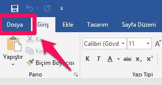 word 2019 dosya