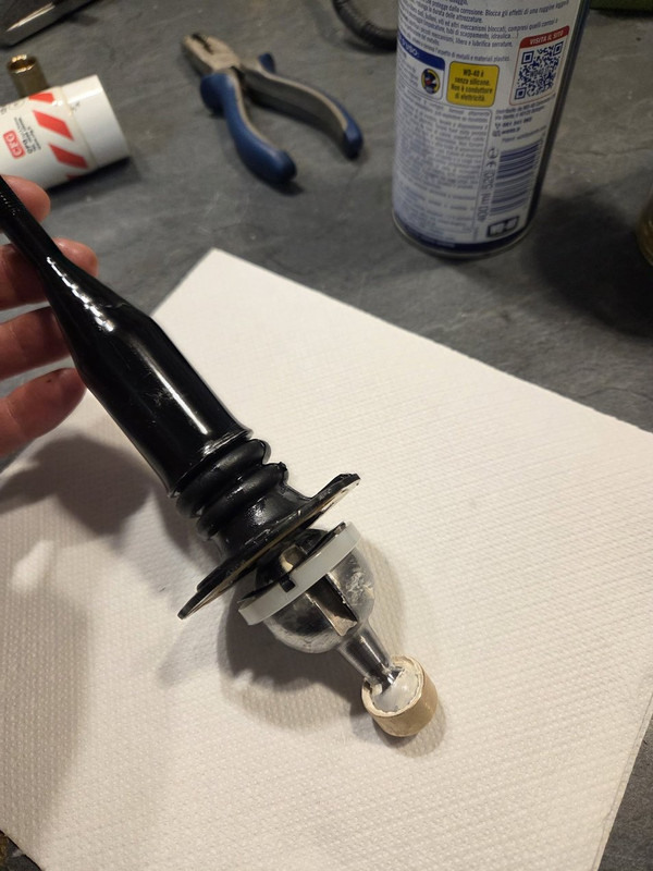 [Immagine: 8Sf-VGq-Ib-TEy-Obx-HPDSUTIA.jpg]