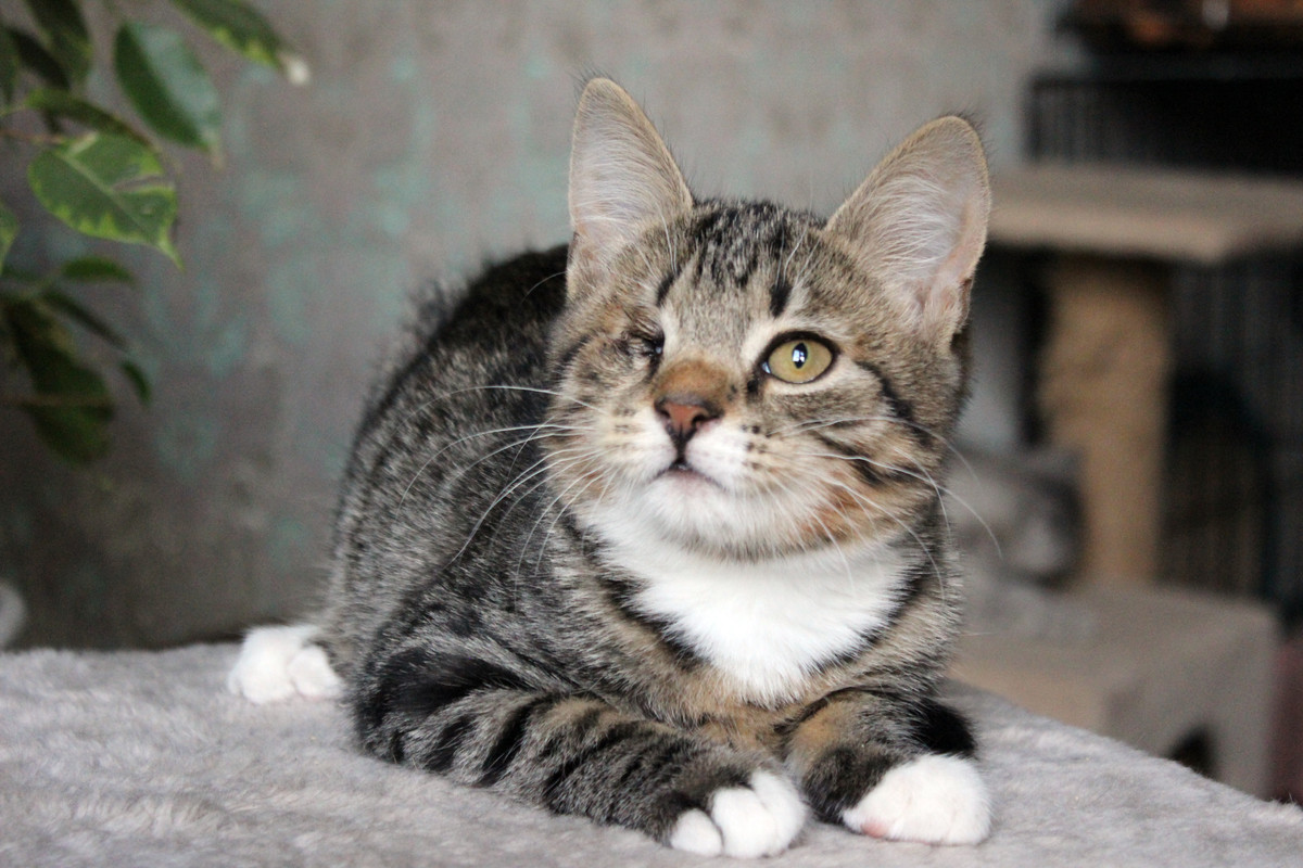 8FF386B3-5BAA-46B2-8754-366ABFE7FFD5