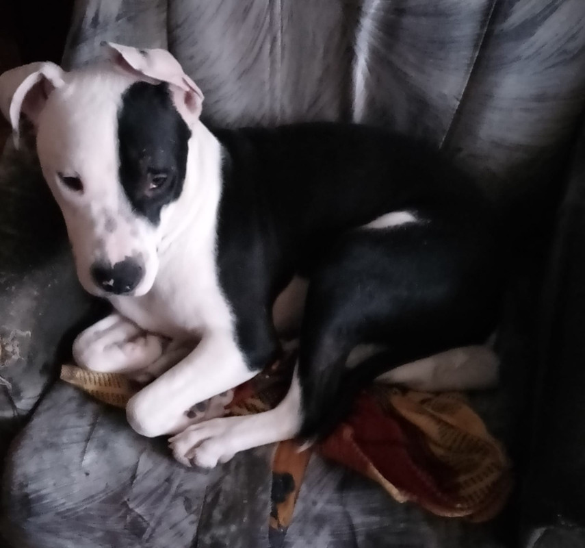 7A439105-8439-47BF-AF11-0700E29FB530