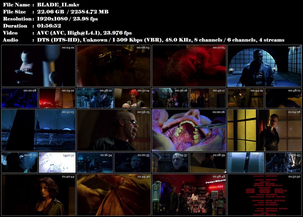 Re: Blade II (2002)