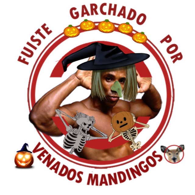 Picsart-24-10-12-12-09-17-875.png