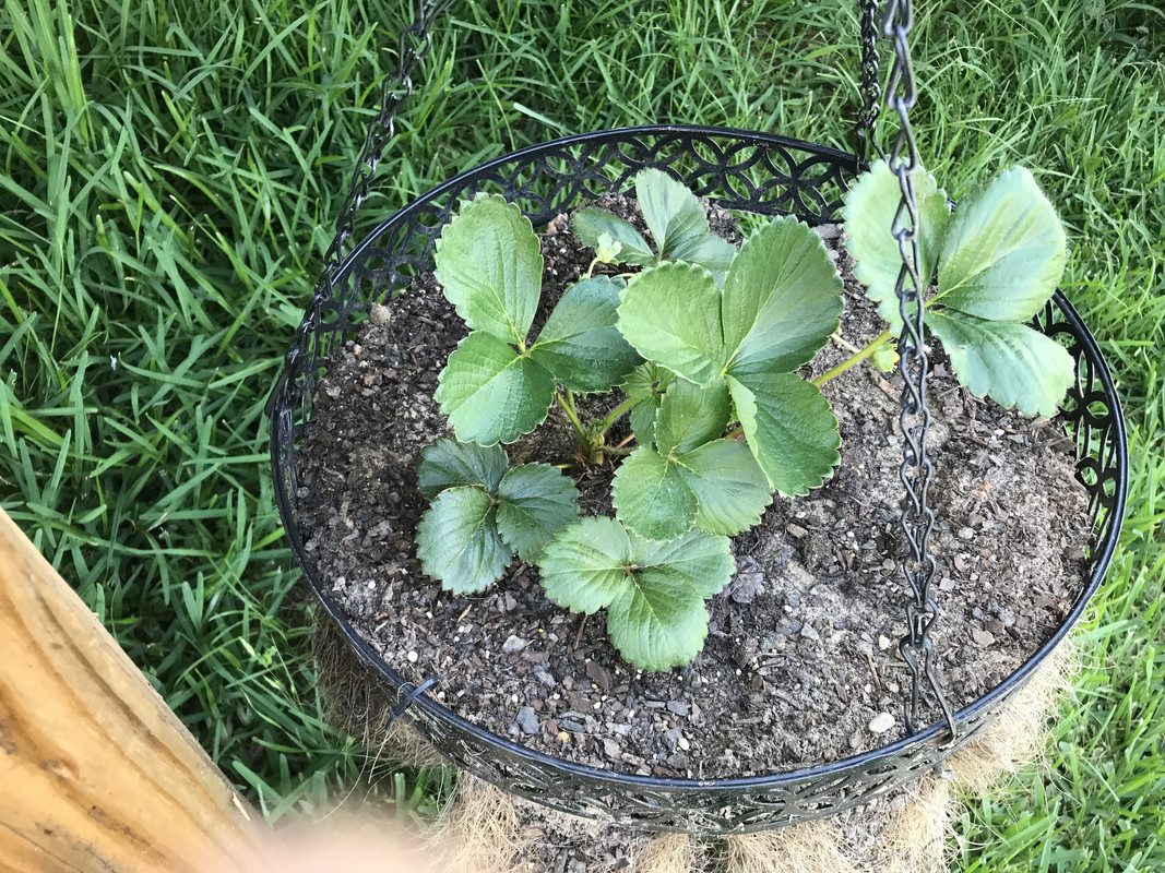 EE85767C-E00D-4539-96FE-A429DBA93EF8