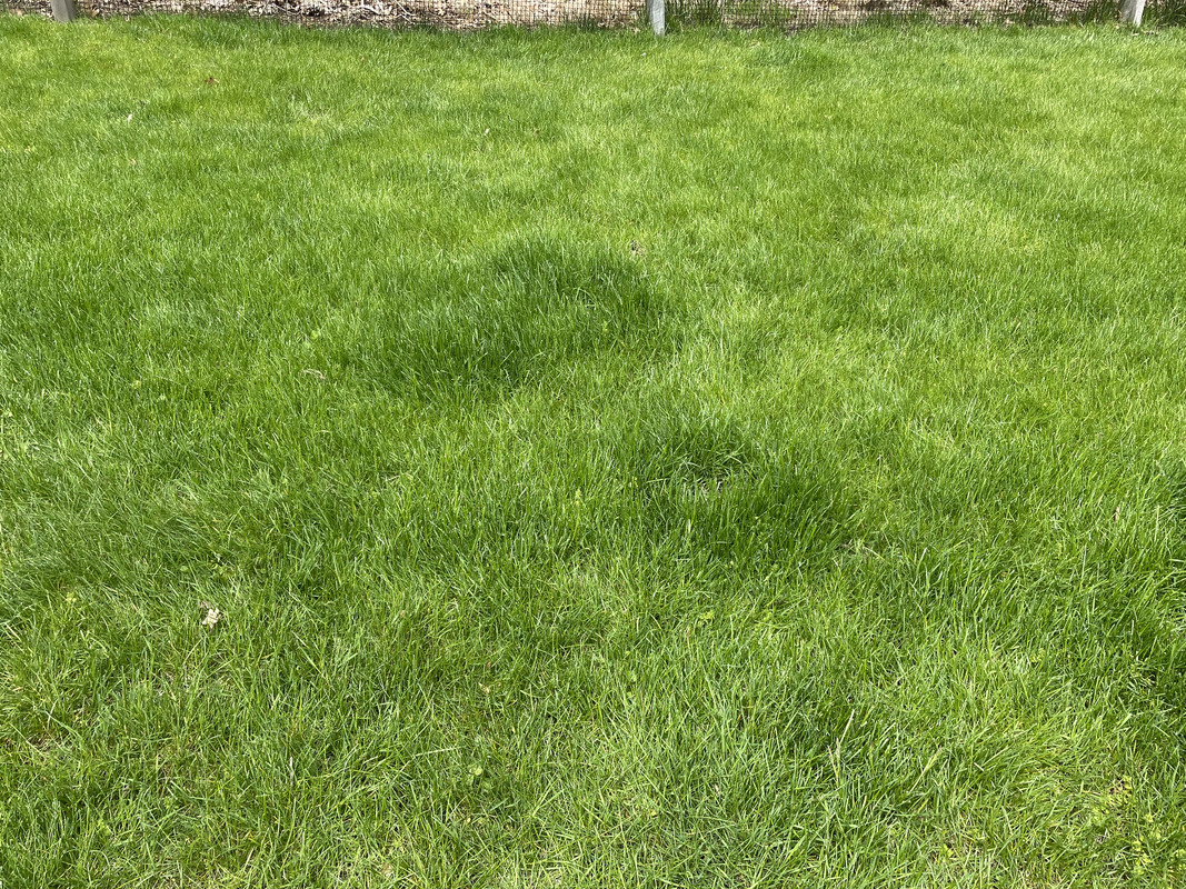 B66F0AFE-BCF9-4A0F-8D20-F9AC56501117