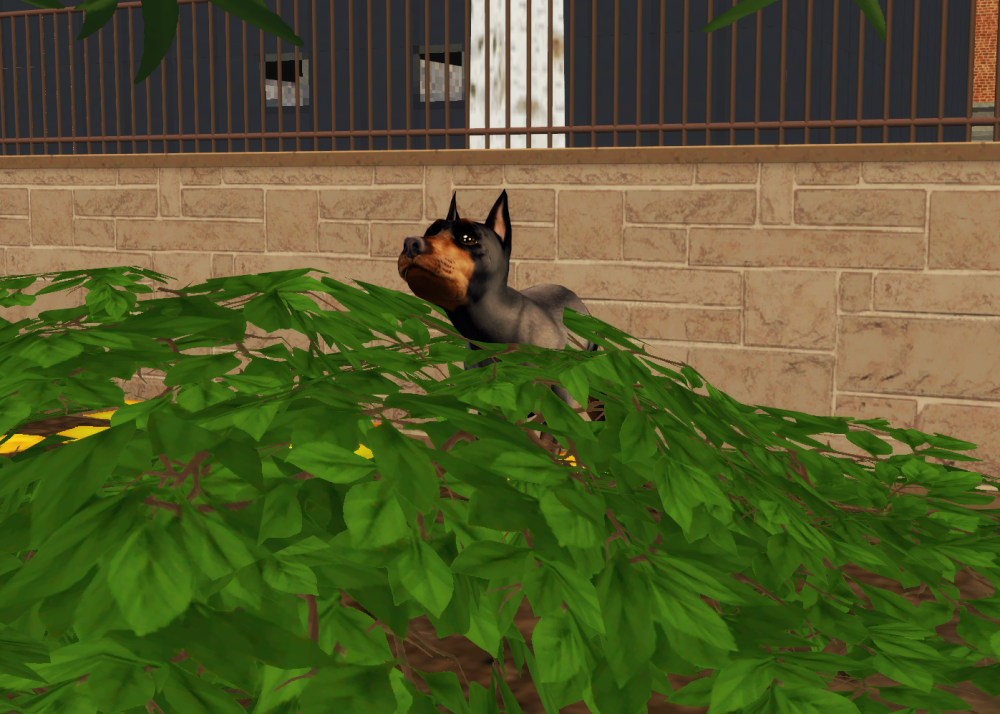 Sims2-EP9-RPC-2022-06-21-22-15-21-90