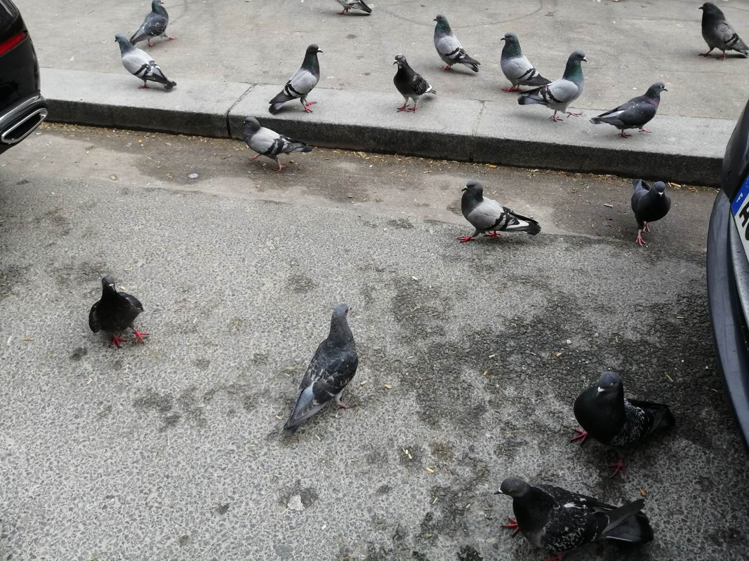 IMG-be26c028707497cce29d8ea6dc26ad8b-V-1