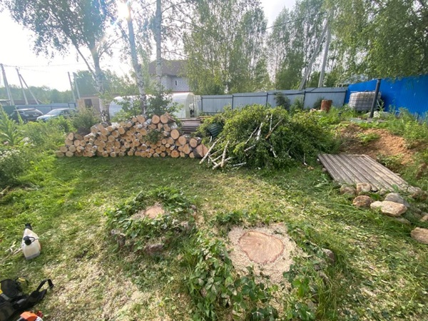 lesorez.ru