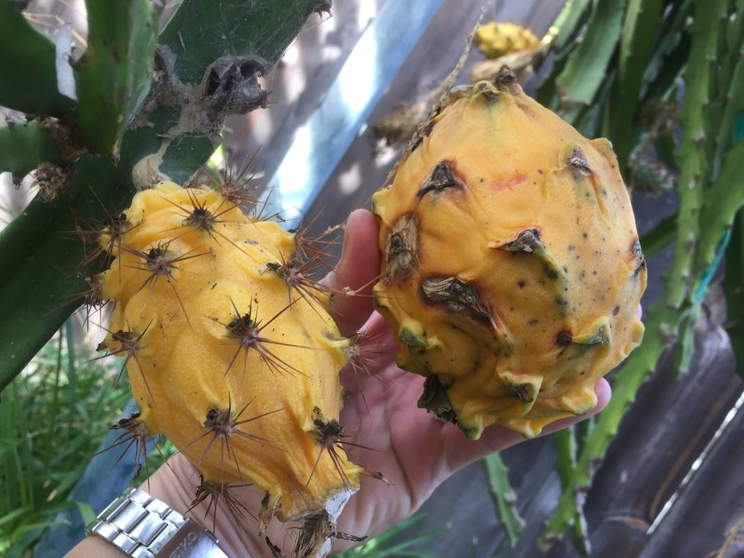 9D752C74-8E06-4D9B-A138-C3C93E73F8AA