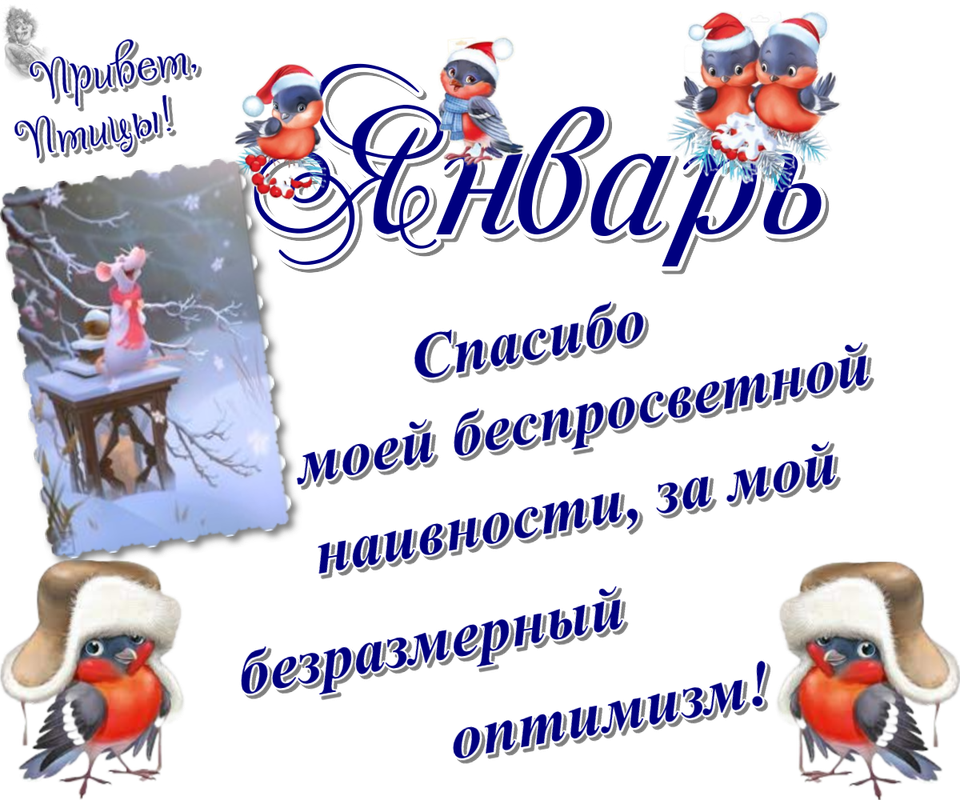 https://i.postimg.cc/4dBvRvGM/07-01.png