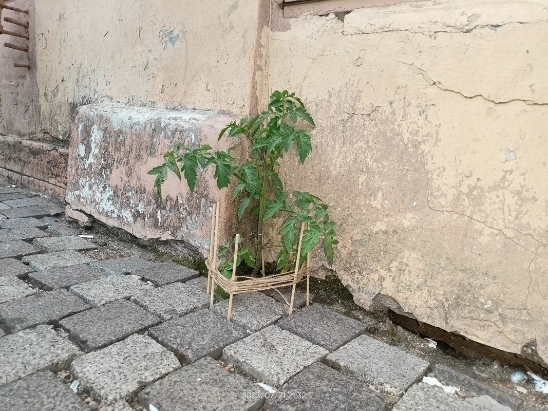 IMG20230721213239