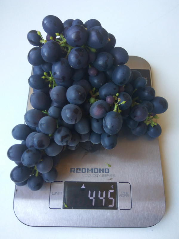 Эстер фото от 22.08.2018...