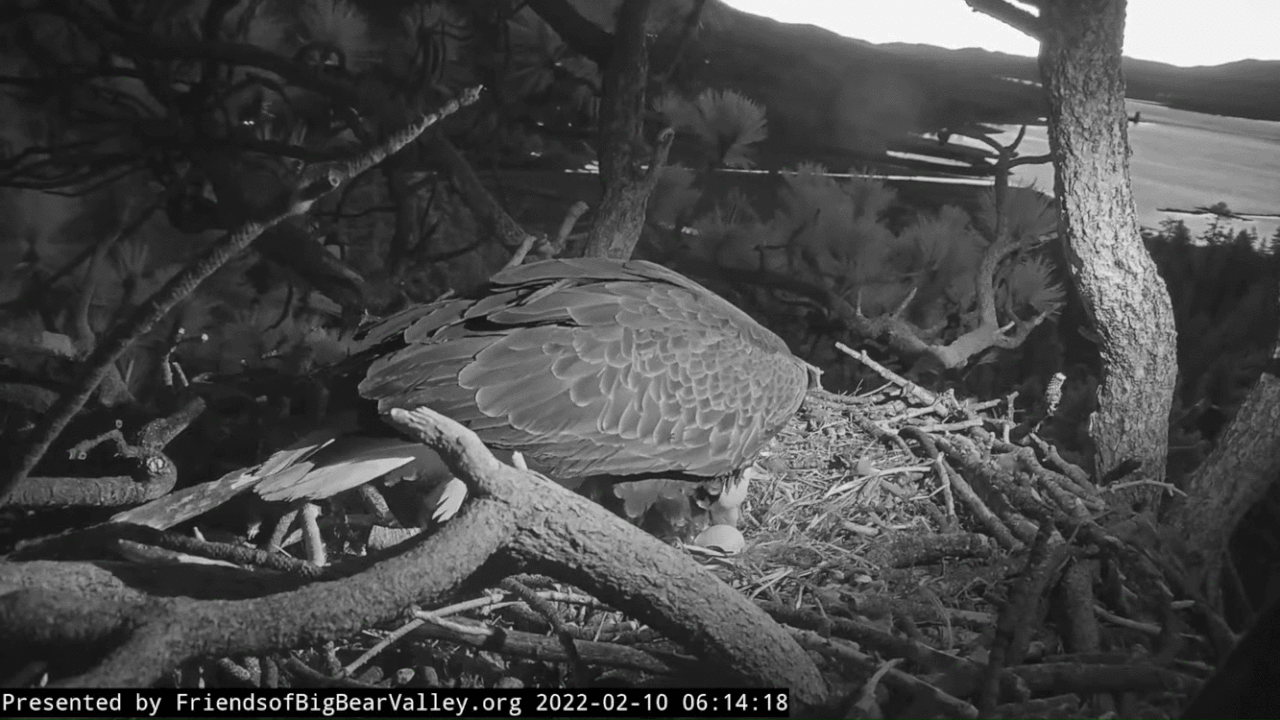 Webp.net-gifmaker (4)