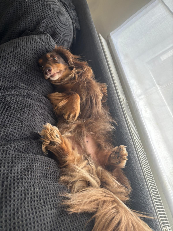 [Image: IMG-20251012-WA0030.jpg]