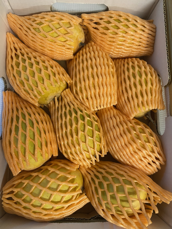 D9E0F2C2-8E2C-4DFC-B3FB-C8DD269B07E5