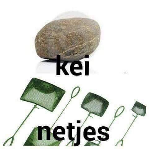 f9ca621f90dd571bcb009396c7901437