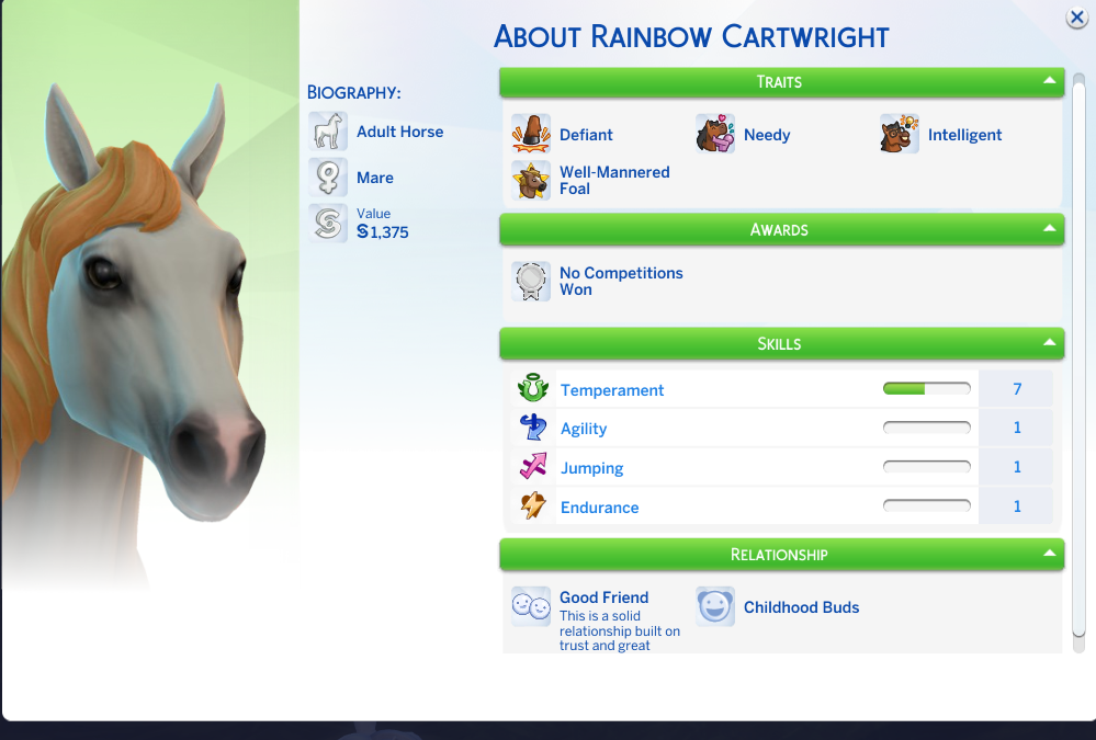 rainbow-the-next-mare-to-breed.png