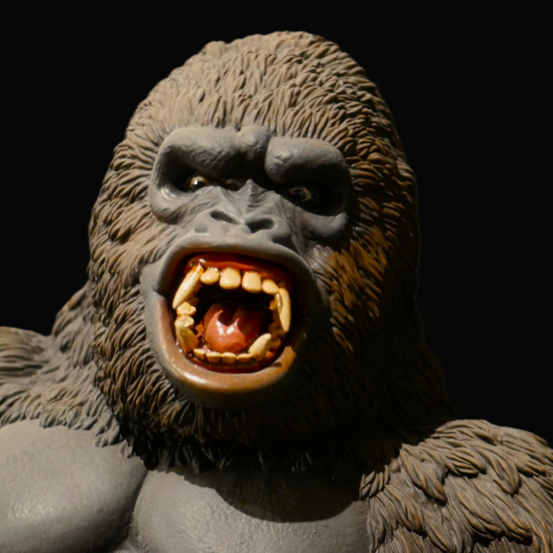 Burroughs Kong Portrait