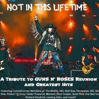 VA - Not In This Lifetime: A Tribute To Guns N Roses’ Reunion & Greatest Hits (2018).mp3 - 192 Kbps