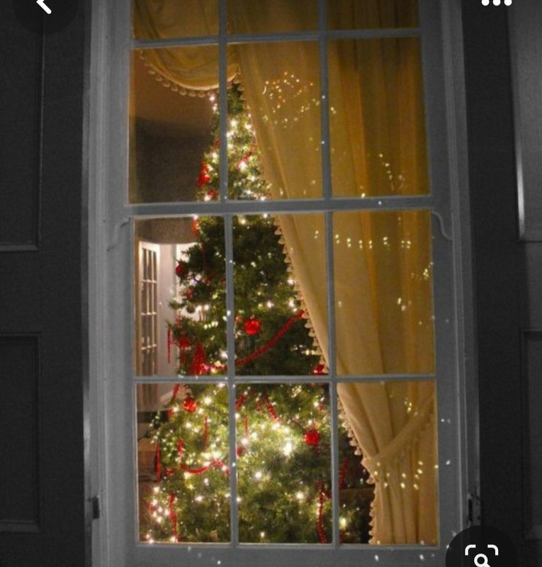 Screenshot_20231212_205730_Pinterest