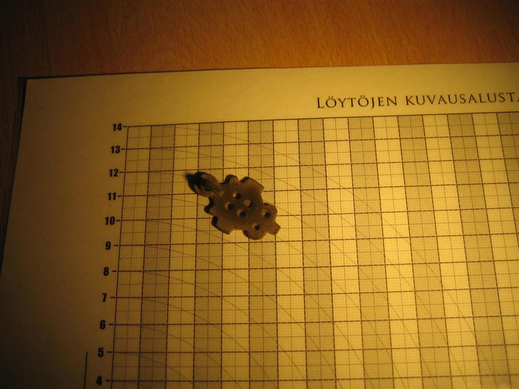 IMG_0245 (Medium)
