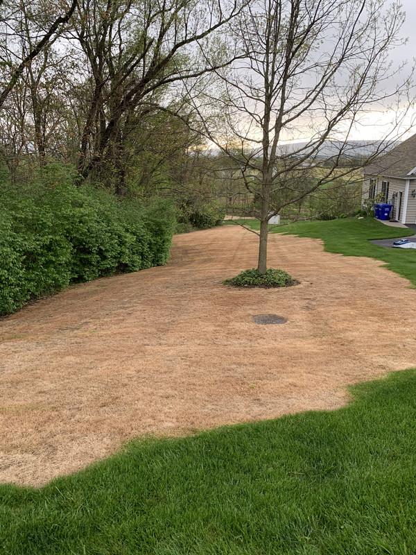 Photo May 07, 7 07 35 PM