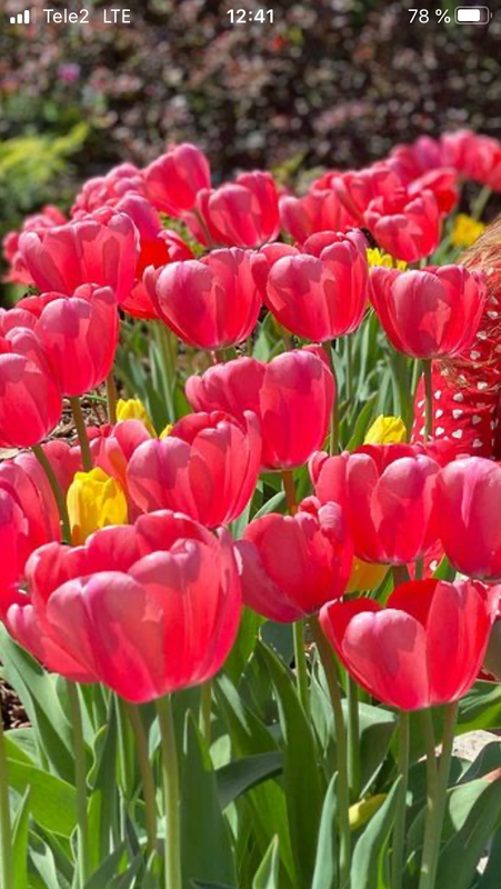 C5C0F717-8A26-42A7-8D93-07DE730DAE22