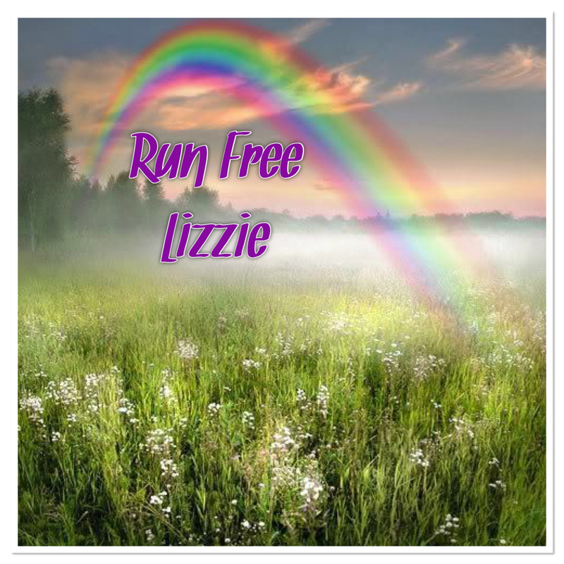 D67A01CA-C7CE-4680-86DD-4A253563DC2A