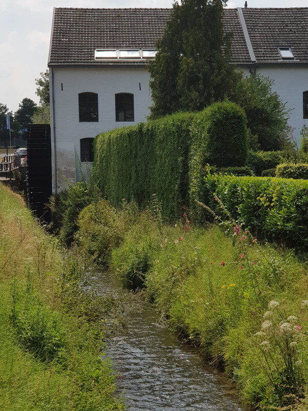 Pieter, Neubourgmolen - Molen Roex 03 Gulpen 20-07-2018