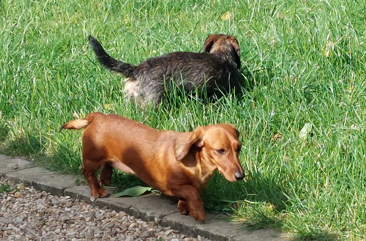 [Image: IMG-20250609-WA0003.jpg]