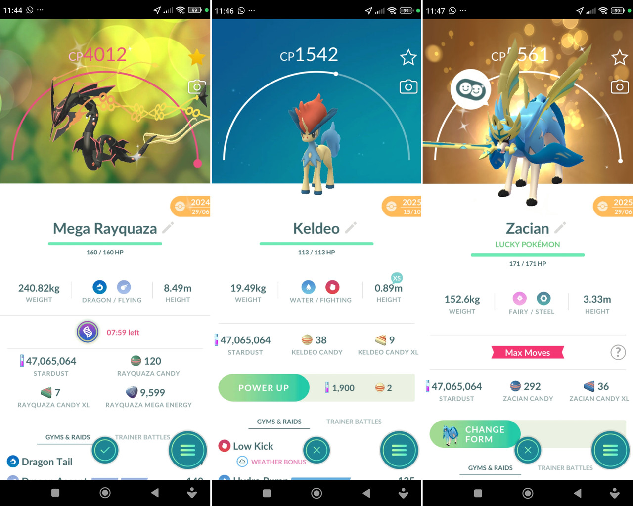 Polish 20260224 115554412