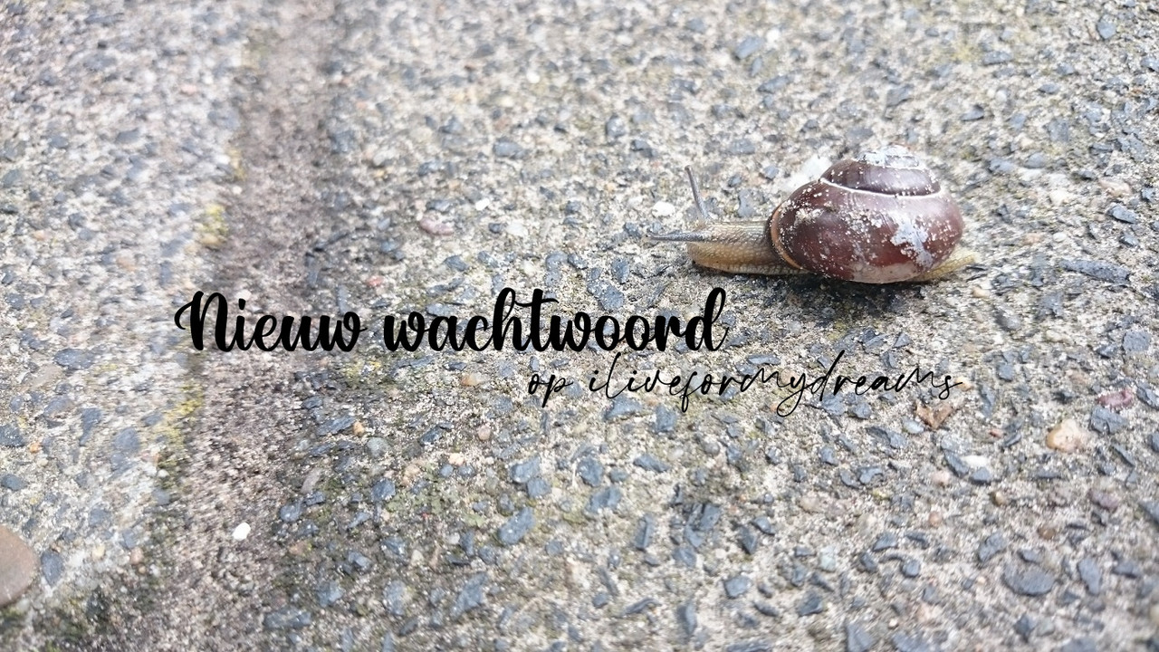 Nieuw wachtwoord #7