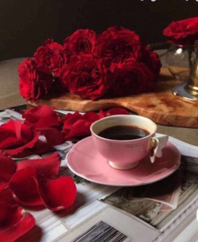 Screenshot_20230129_235323_Chrome