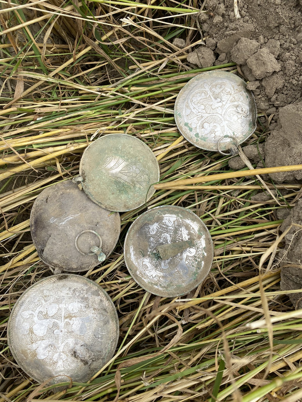 4BD4DD72-61D1-4031-93CF-9D297C5BC46D