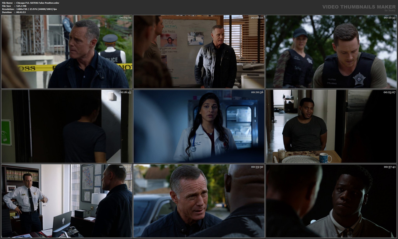 Chicago P.D. S07E06 False Positive.mkv