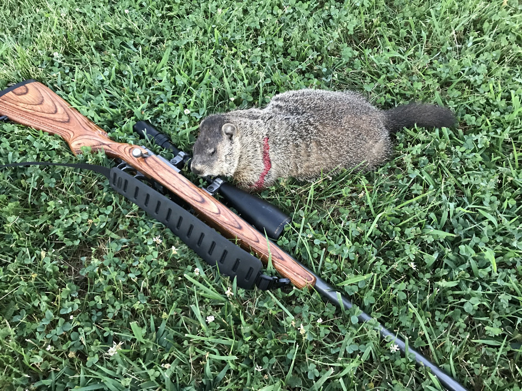 C04FA472-4384-43DB-984D-DFD82A728CD2