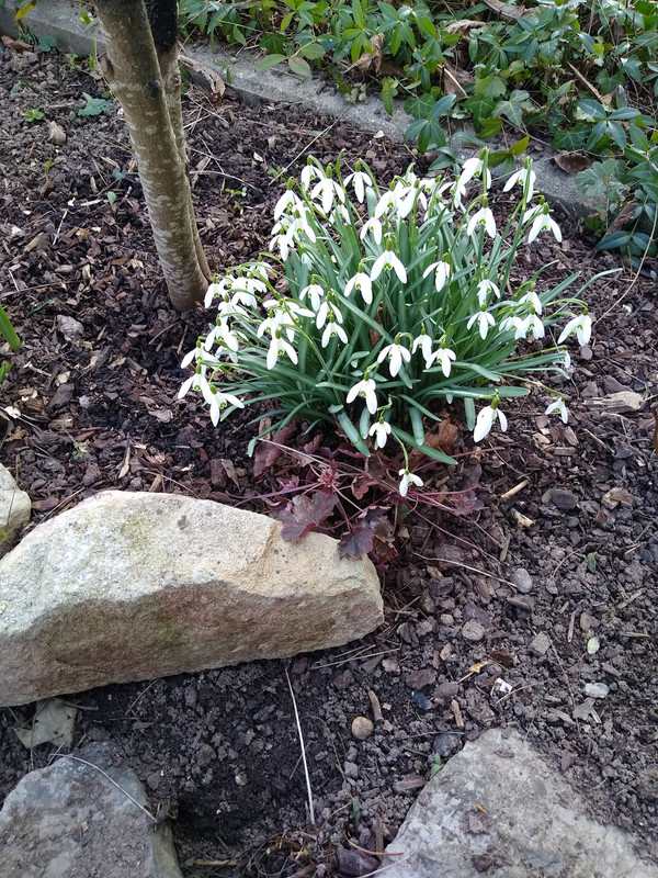 IMG_20230302_144527400