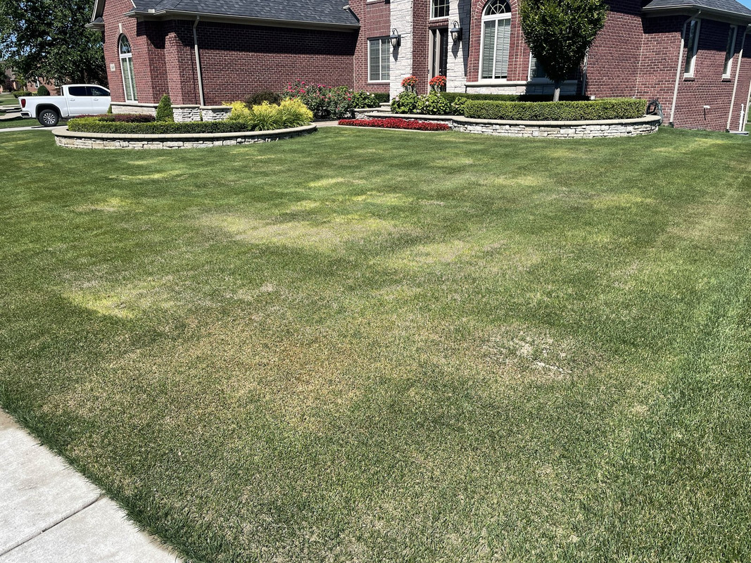 F7DE6D73-D2ED-4376-B711-2284F78D0A91