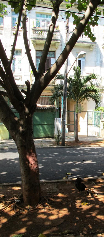 82B3754B-3A1B-427A-916D-07AC468D6FE7