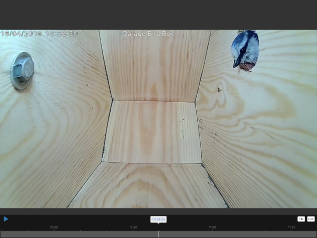 817141CF-81C4-4796-AC68-D9458EC1D711