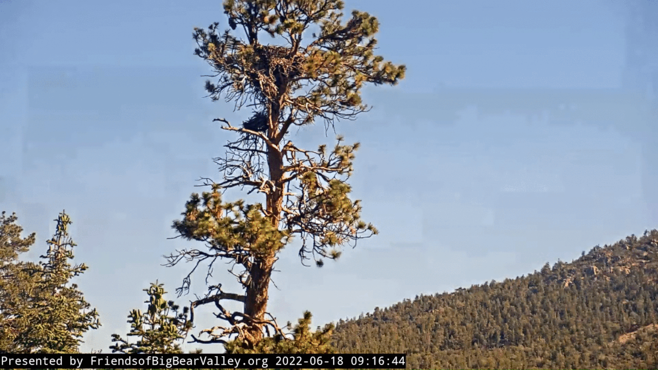 Webp.net-gifmaker (6)